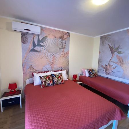 Apartments Villa Viktoria Tivat Dış mekan fotoğraf