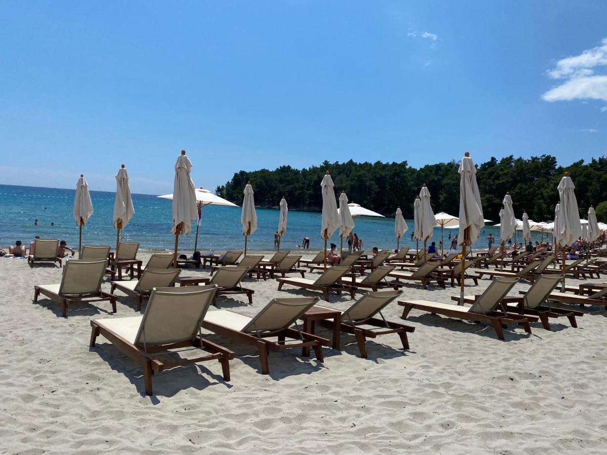Apartments Villa Viktoria Tivat Dış mekan fotoğraf