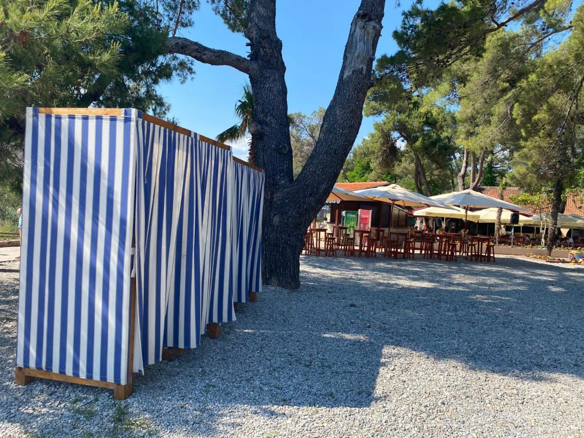 Apartments Villa Viktoria Tivat Dış mekan fotoğraf