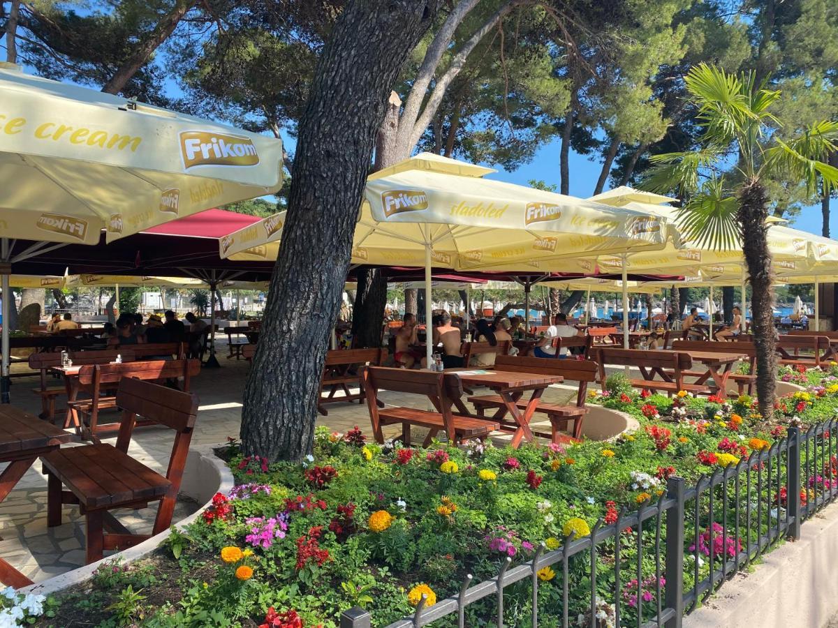 Apartments Villa Viktoria Tivat Dış mekan fotoğraf