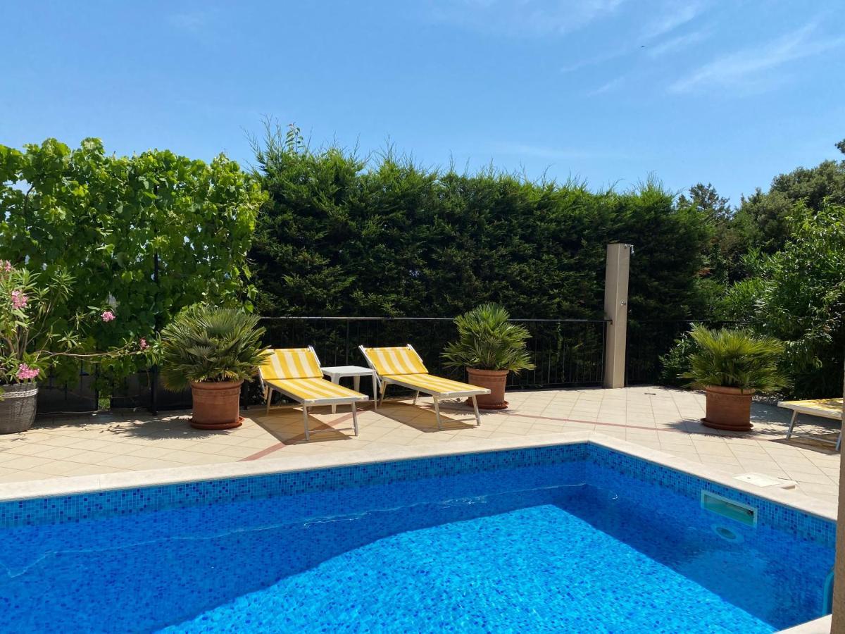 Apartments Villa Viktoria Tivat Dış mekan fotoğraf