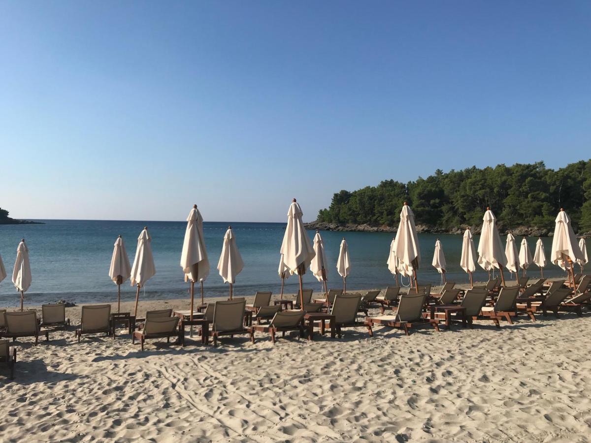 Apartments Villa Viktoria Tivat Dış mekan fotoğraf